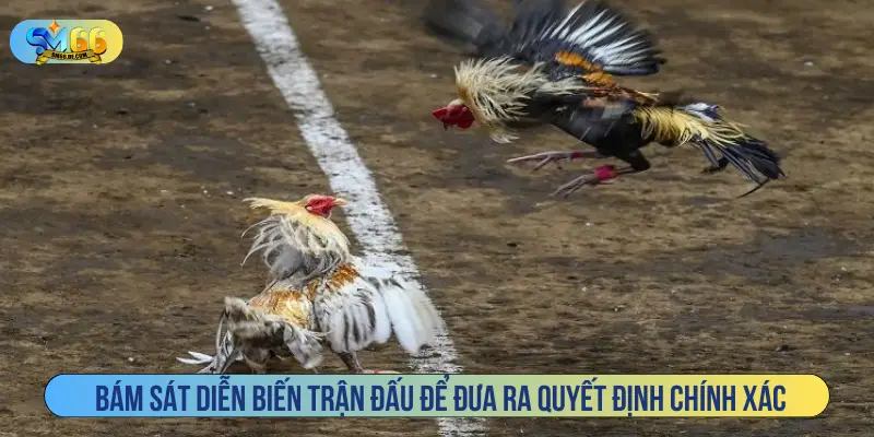 Bám sát diễn biến trận đấu để đưa ra quyết định chính xác