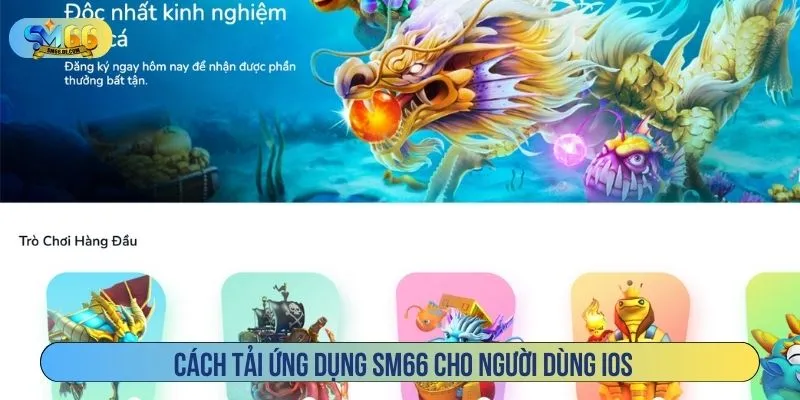 Cách tải ứng dụng SM66 cho người dùng iOS