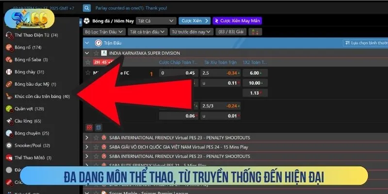 Đa dạng môn thể thao, từ truyền thống đến hiện đại