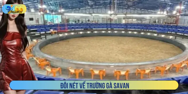 Đôi nét về trường gà Savan
