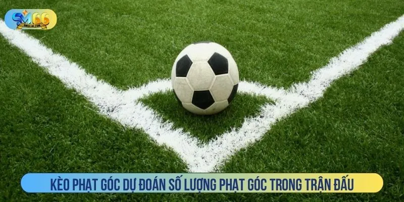 Kèo phạt góc dự đoán số lượng phạt góc trong trận đấu