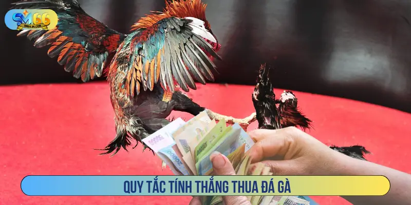 Quy tắc tính thắng thua đá gà