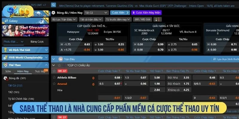 SABA Thể Thao là nhà cung cấp phần mềm cá cược thể thao uy tín