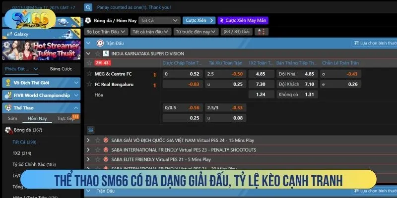 Thể thao SM66 có đa dạng giải đấu, tỷ lệ kèo cạnh tranh